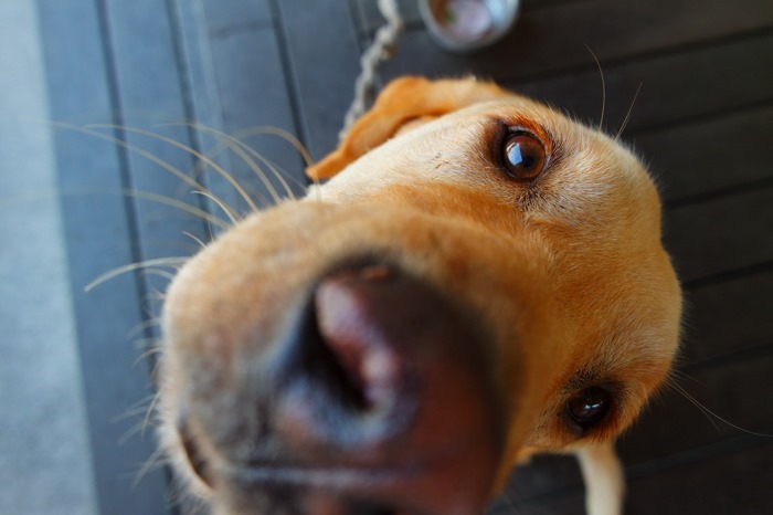 nx3000-2_034 nx3000-2_034