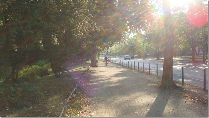 20140906_085123_Großer Weg