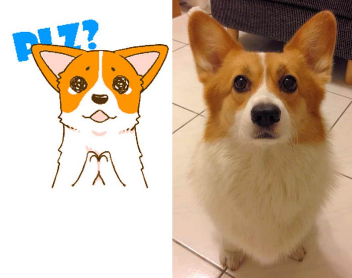 WeChat新聞圖檔1_Tim哥私房寵物 萌樣「動」上WeChat