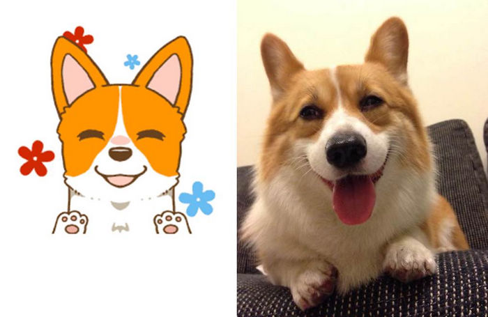 WeChat新聞圖檔2_Tim哥私房寵物 開心萌樣只在WeChat