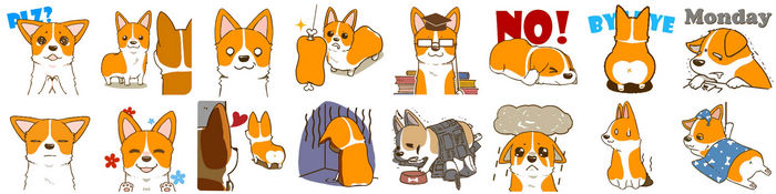 WeChat新聞圖檔貼圖1_OLi Doggie