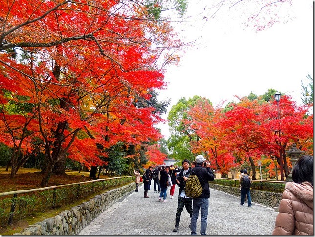 cf0bec16e9e24b03f3ada601c03582b1