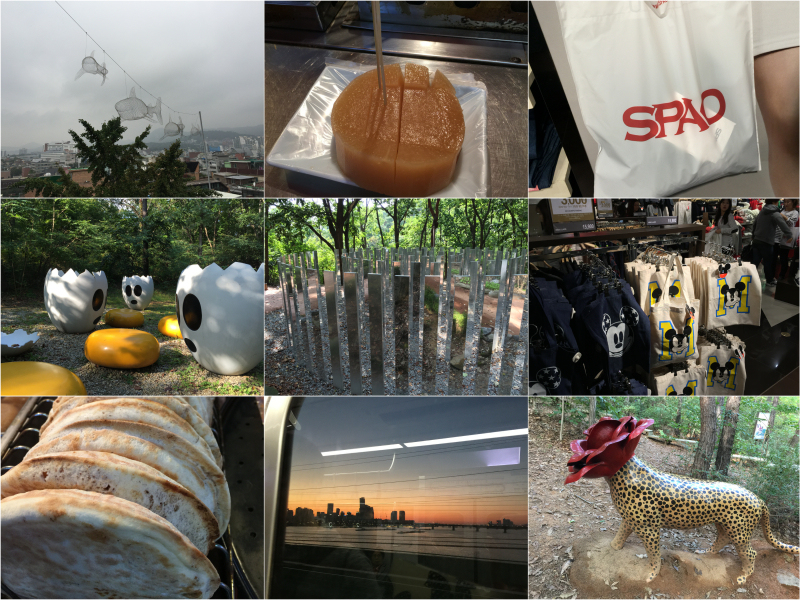 IMG_0249_Fotor_Collage