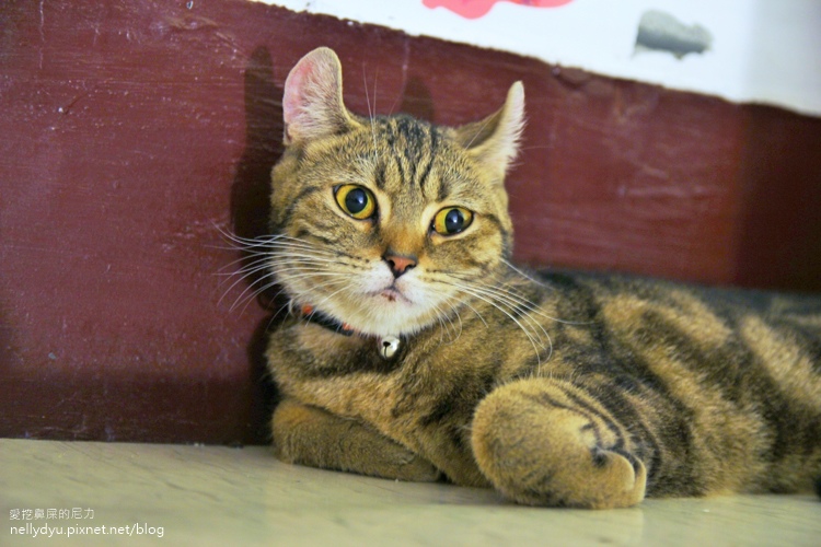 草Doro037.jpg 草Doro037.jpg