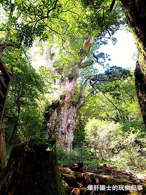 batch_2014-10-01-011103-82