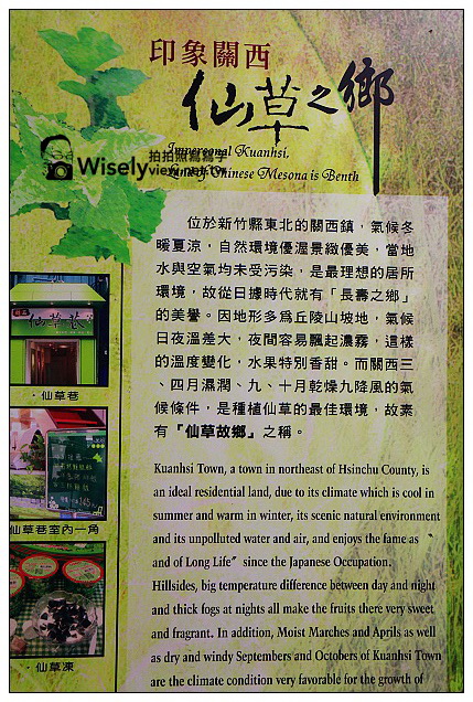 【食記】新竹縣．關西鎮：ㄤ咕麵 & 仙草巷＠在地的人氣小吃，來此遊玩必嚐美食~不吃可惜啊！