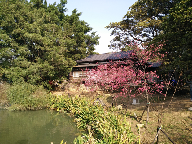  photo IMG20150213151117.jpg