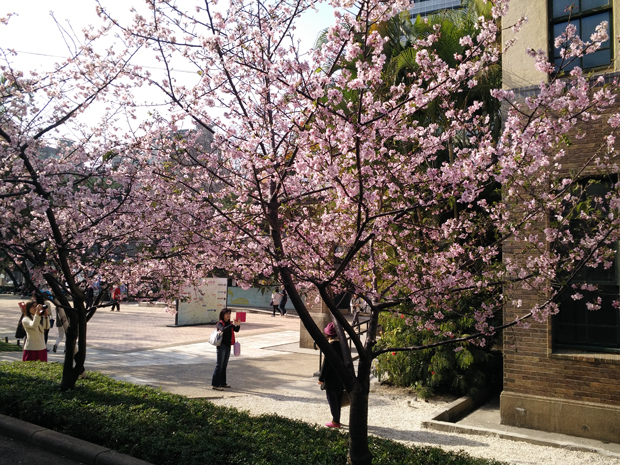  photo IMG20150213145946.jpg