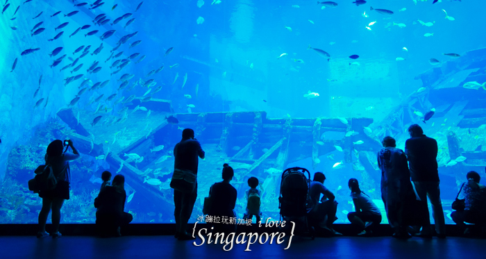 新加坡聖淘沙度假,聖淘沙好玩,聖淘沙景點