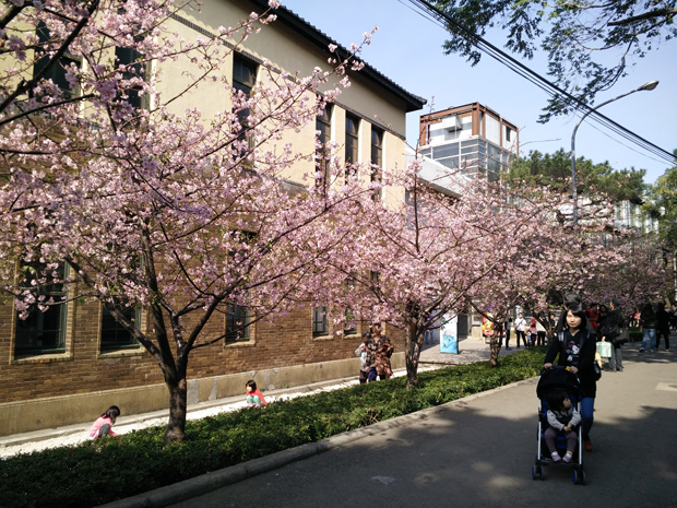  photo IMG20150213143834.jpg