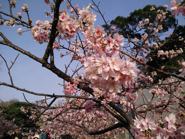  photo IMG20150213152752_UBIFOCUS.jpg