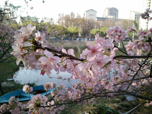  photo IMG20150213151024.jpg