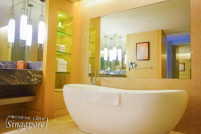 新加坡金沙酒店優惠,新加坡金沙酒店訂房,新加坡金沙無邊際泳池