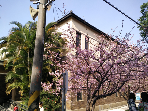  photo IMG20150213143740.jpg