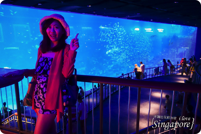 新加坡聖淘沙度假,聖淘沙好玩,聖淘沙景點