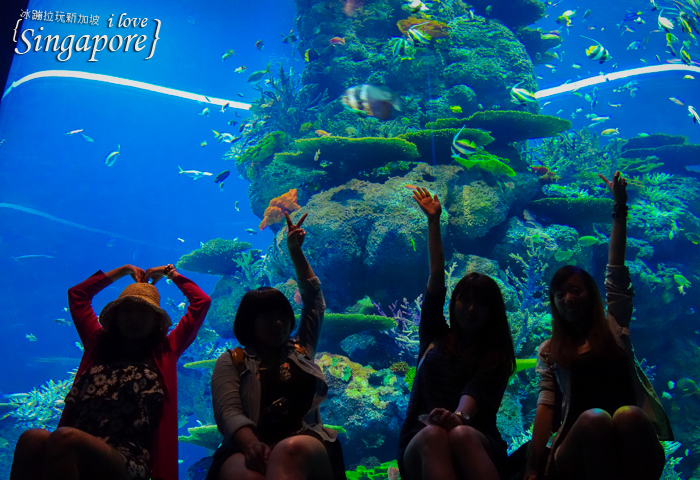 新加坡聖淘沙度假,聖淘沙好玩,聖淘沙景點