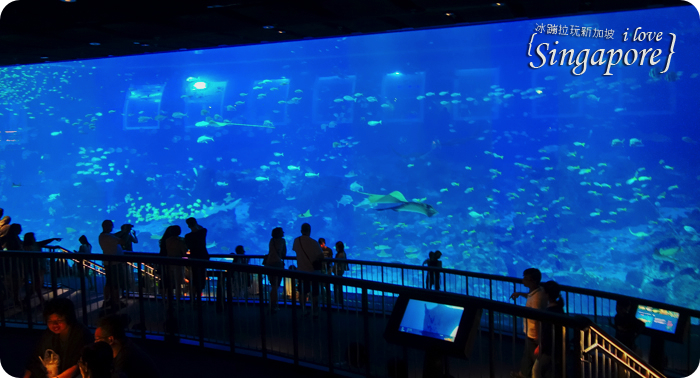 新加坡聖淘沙度假,聖淘沙好玩,聖淘沙景點