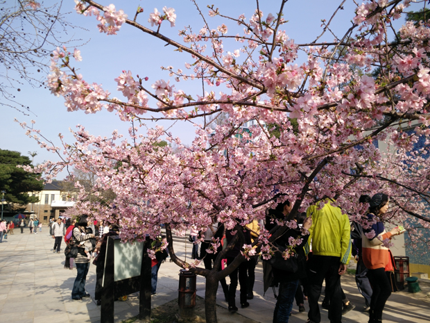  photo IMG20150213152632.jpg