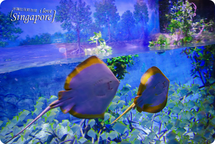 新加坡聖淘沙度假,聖淘沙好玩,聖淘沙景點