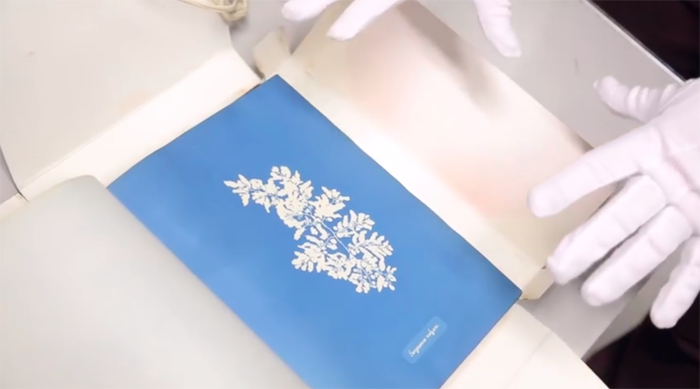 螢幕快照 2015-03-15 下午9.20.04