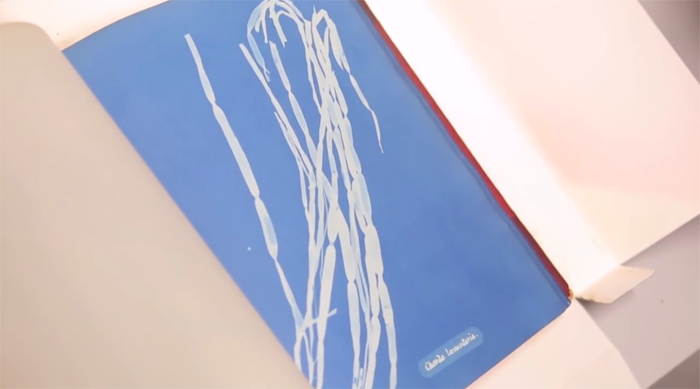 螢幕快照 2015-03-15 下午9.20.47