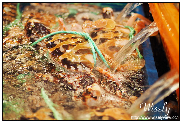 【遊記】新北市。北海岸景點美食一日遊:淡水紫藤咖啡園、猿人森活&海邊的家Café、石門老梅綠石槽、富基漁港夕照、慧琪活海鮮&味味代客料理