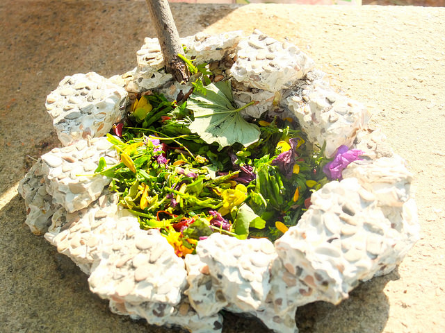 姜佳妤-小魚媽 （小魚老師）