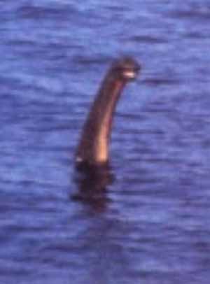 Loch-Ness-Monster-Shiels-muppet-photo-small-version-300-px-tiny-July-2013