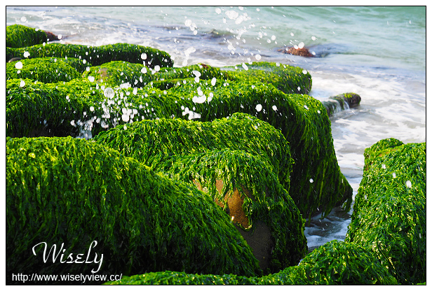 【遊記】新北市。北海岸景點美食一日遊:淡水紫藤咖啡園、猿人森活&海邊的家Café、石門老梅綠石槽、富基漁港夕照、慧琪活海鮮&味味代客料理