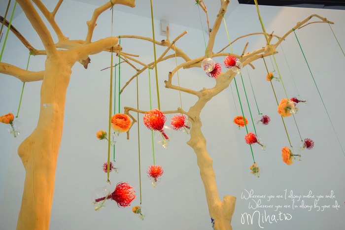 內湖咖啡廳,5sense,咖啡冠軍咖啡廳,拉花冠軍咖啡廳