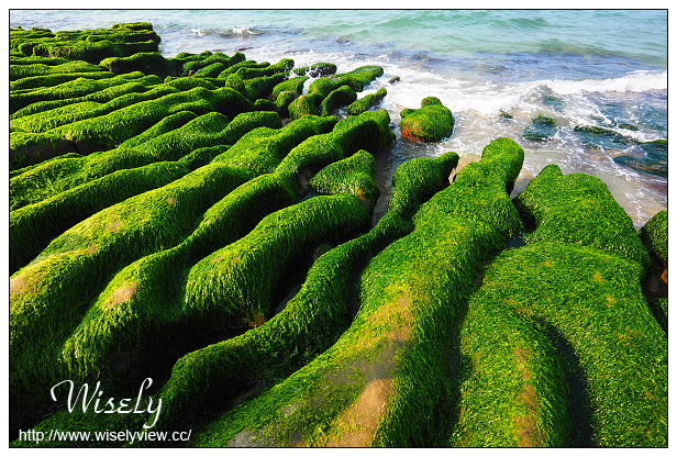 【遊記】新北市。北海岸景點美食一日遊:淡水紫藤咖啡園、猿人森活&海邊的家Café、石門老梅綠石槽、富基漁港夕照、慧琪活海鮮&味味代客料理