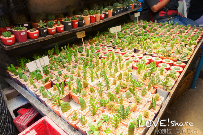 洽圖洽市集,曼谷逛街,曼谷紀念品,洽圖洽必買,bkk包