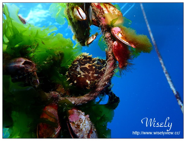 【遊記】活動。奧林帕斯:新機體驗@福華渡假飯店、Olympus TG-4新機發表、規格分享(海底&人像-後壁湖實拍)、墾丁大街漫遊、照利庭園海鮮餐廳