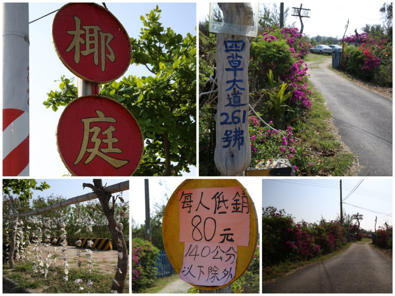 batch2FV5A5055_Fotor_Collage