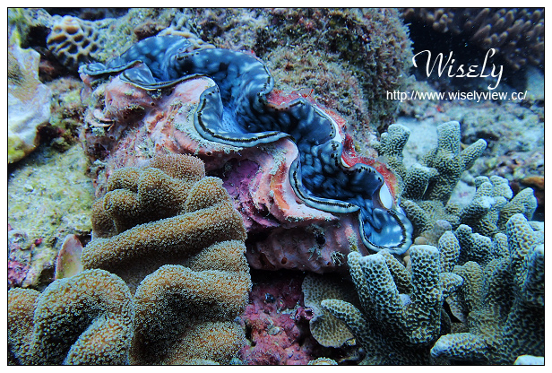 【遊記】活動。奧林帕斯:新機體驗@福華渡假飯店、Olympus TG-4新機發表、規格分享(海底&人像-後壁湖實拍)、墾丁大街漫遊、照利庭園海鮮餐廳