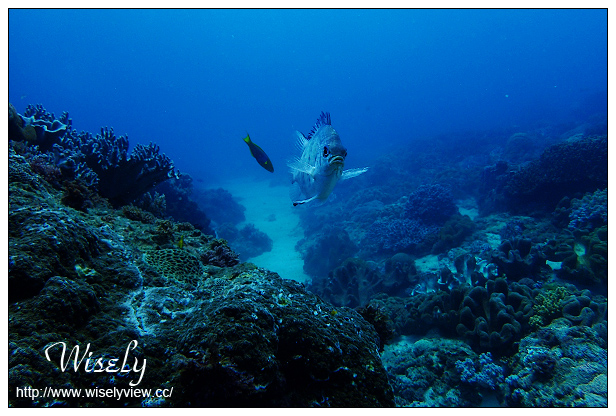 【遊記】活動。奧林帕斯:新機體驗@福華渡假飯店、Olympus TG-4新機發表、規格分享(海底&人像-後壁湖實拍)、墾丁大街漫遊、照利庭園海鮮餐廳