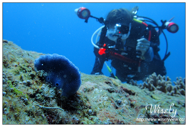 【遊記】活動。奧林帕斯:新機體驗@福華渡假飯店、Olympus TG-4新機發表、規格分享(海底&人像-後壁湖實拍)、墾丁大街漫遊、照利庭園海鮮餐廳