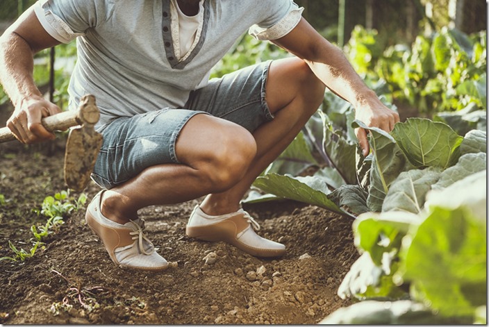 EL Naturalista 2015年春夏形象圖_1