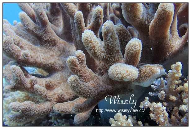 【遊記】活動。奧林帕斯:新機體驗@福華渡假飯店、Olympus TG-4新機發表、規格分享(海底&人像-後壁湖實拍)、墾丁大街漫遊、照利庭園海鮮餐廳