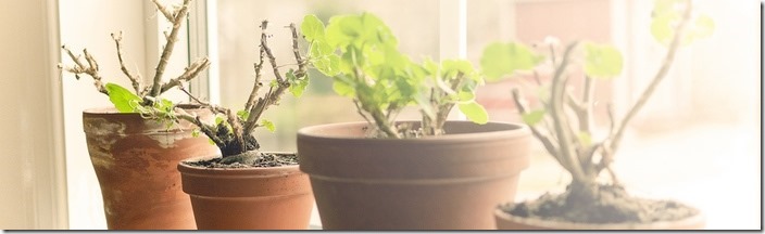 c62d6459442dcc974e095356401a4799_original