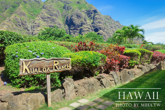古蘭尼牧場,侏羅記公園電影場景,夏威夷自由行,鈦美旅行社