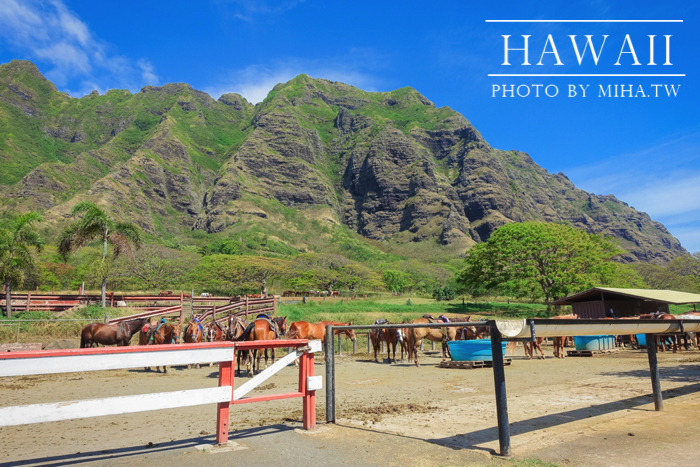 古蘭尼牧場,侏羅記公園電影場景,夏威夷自由行,鈦美旅行社