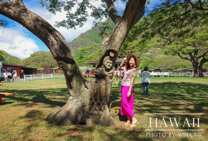 古蘭尼牧場,侏羅記公園電影場景,夏威夷自由行,鈦美旅行社