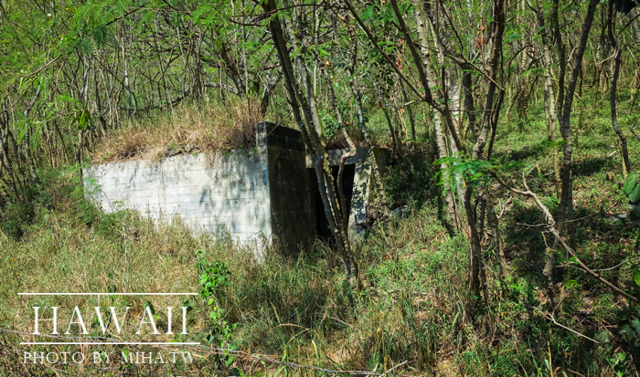 古蘭尼牧場,侏羅記公園電影場景,夏威夷自由行,鈦美旅行社