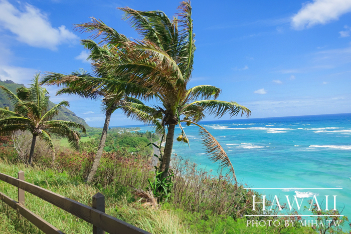 古蘭尼牧場,侏羅記公園電影場景,夏威夷自由行,鈦美旅行社