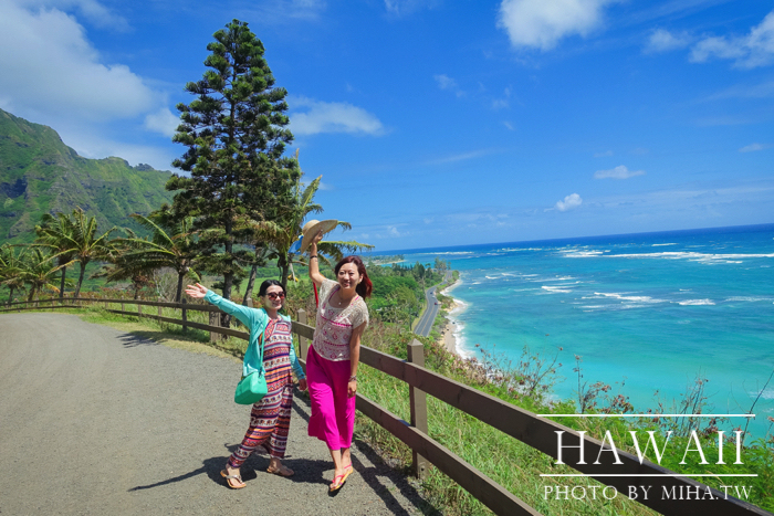 古蘭尼牧場,侏羅記公園電影場景,夏威夷自由行,鈦美旅行社