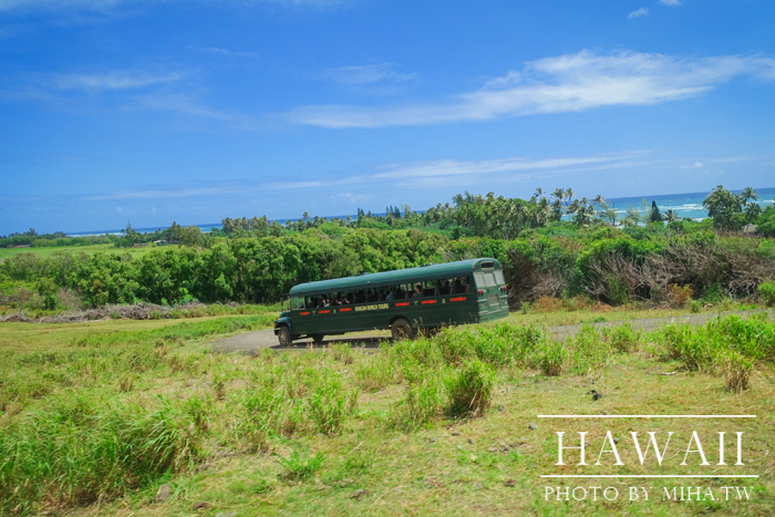 古蘭尼牧場,侏羅記公園電影場景,夏威夷自由行,鈦美旅行社