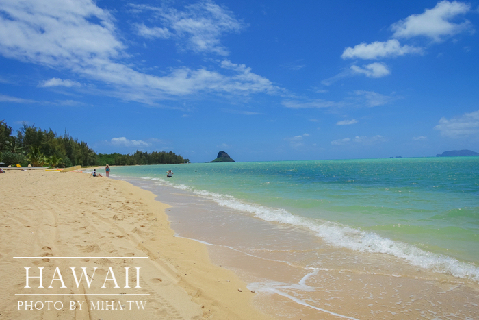 古蘭尼牧場,侏羅記公園電影場景,夏威夷自由行,鈦美旅行社