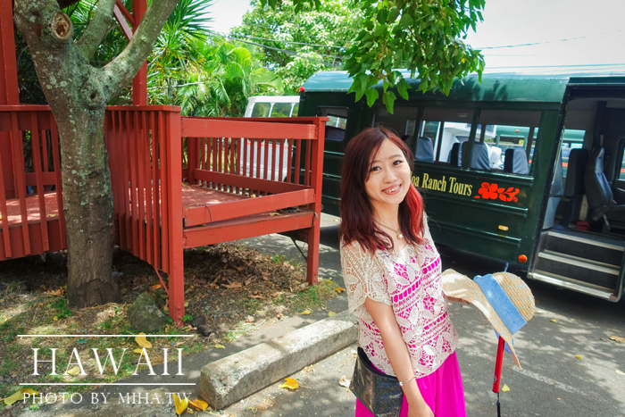 古蘭尼牧場,侏羅記公園電影場景,夏威夷自由行,鈦美旅行社