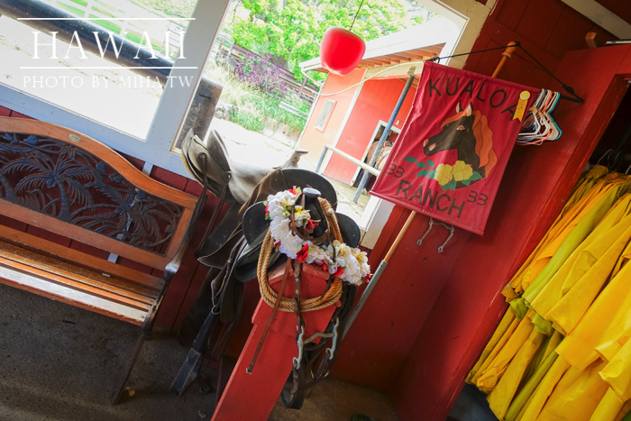 古蘭尼牧場,侏羅記公園電影場景,夏威夷自由行,鈦美旅行社